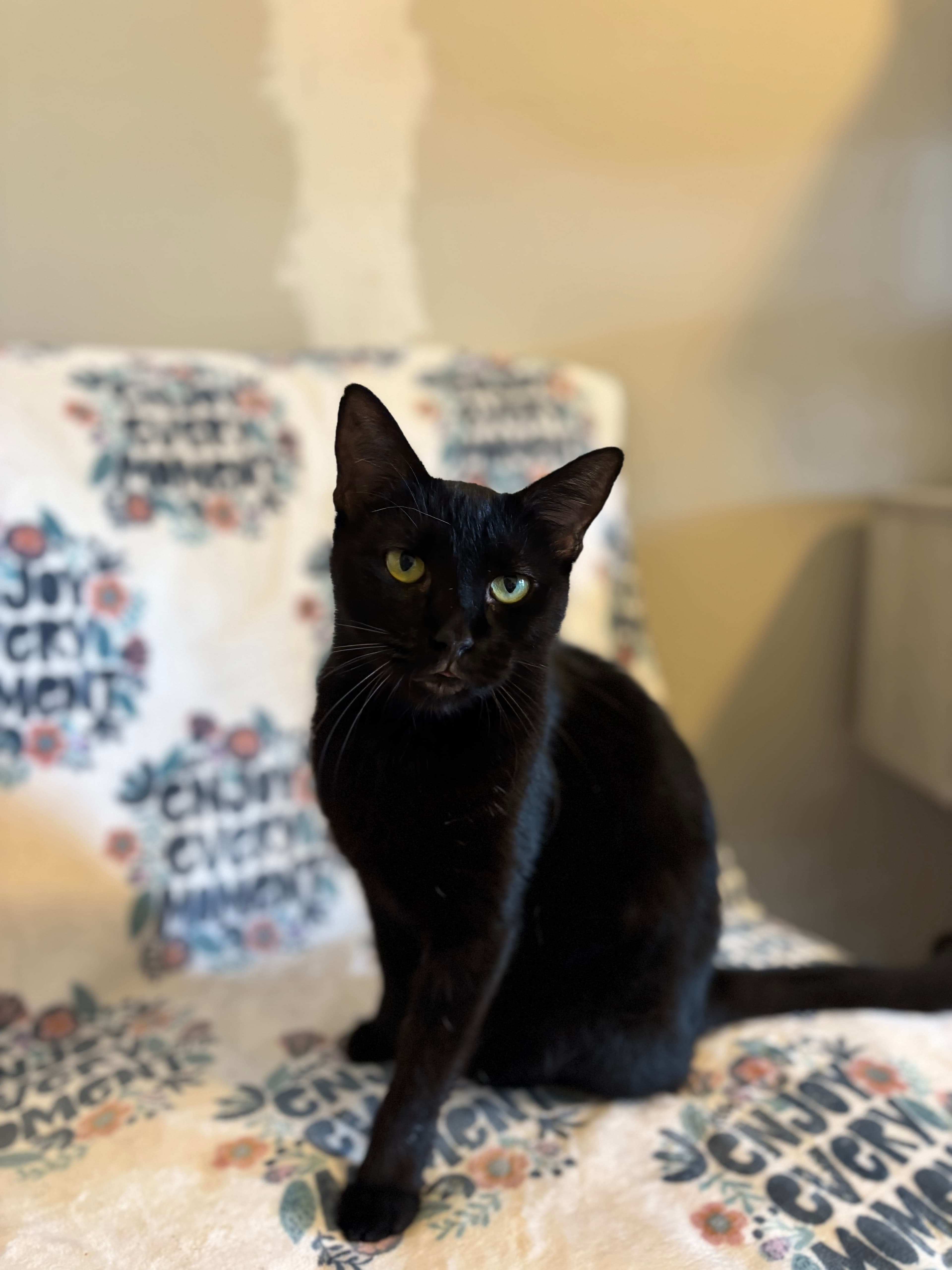 Gigi